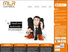 Tablet Screenshot of mlr-conseil.com
